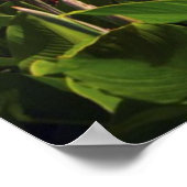 VS, Washington DC, Capitol Building Poster (Hoek)