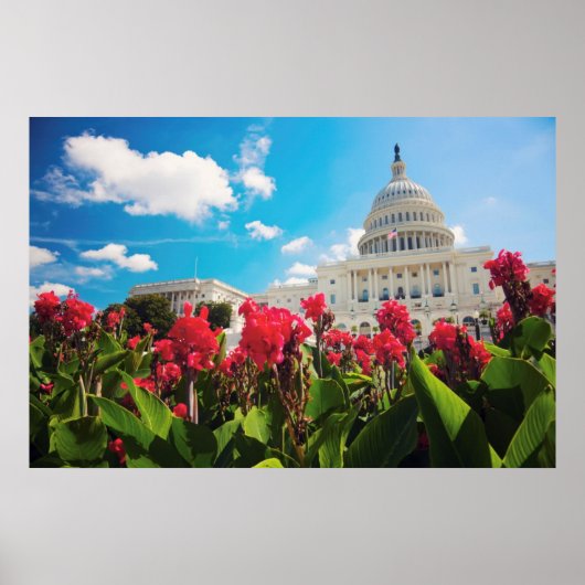 VS, Washington DC, Capitol Building Poster (Voorkant)