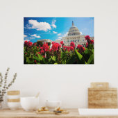 VS, Washington DC, Capitol Building Poster (Keuken)