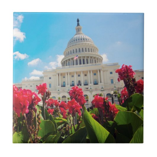 VS, Washington DC, Capitol Building Tegeltje (Voorkant)