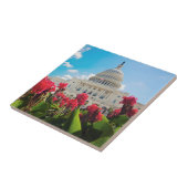 VS, Washington DC, Capitol Building Tegeltje (Zijkant)