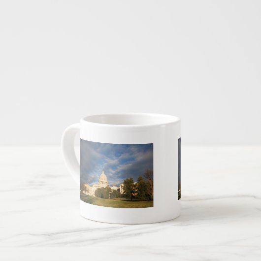 VS, Washington DC, Capitolgebouw Espresso Kop (Links)