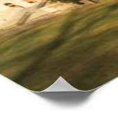 VS, Washington DC, Capitolgebouw Poster (Hoek)