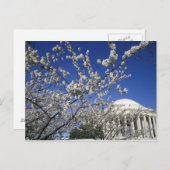 VS, Washington DC. Cherry Blossom Festival en 2 Briefkaart (Voorkant / Achterkant)