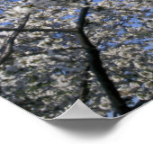 VS, Washington DC. Cherry Blossom Festival en 2 Poster (Hoek)