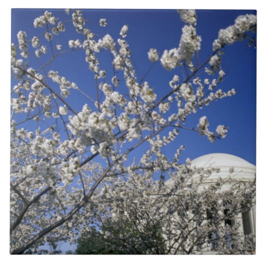 VS, Washington DC. Cherry Blossom Festival en 2 Tegeltje (Voorkant)