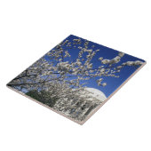 VS, Washington DC. Cherry Blossom Festival en 2 Tegeltje (Zijkant)