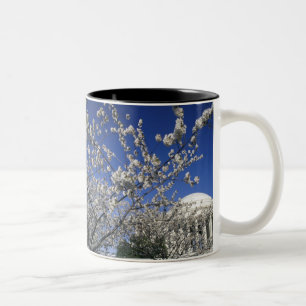 VS, Washington DC. Cherry Blossom Festival en 2 Tweekleurige Koffiemok