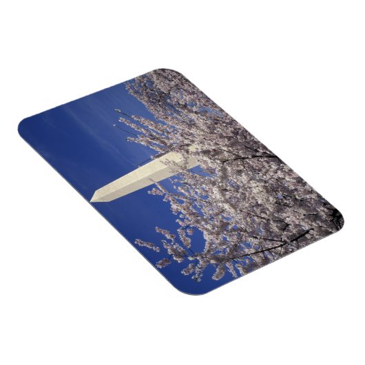 VS, Washington DC. Cherry Blossom Festival en Magneet (Rechterzijde)