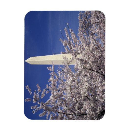 VS, Washington DC. Cherry Blossom Festival en Magneet (Verticaal)