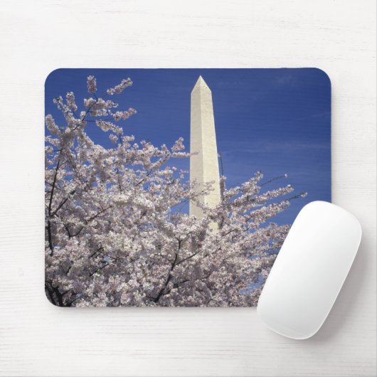 VS, Washington DC. Cherry Blossom Festival en Muismat (Met muis)