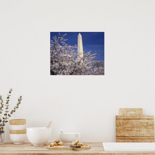 VS, Washington DC. Cherry Blossom Festival en Poster (Keuken)