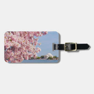 VS, Washington DC, Cherry tree Bagagelabel