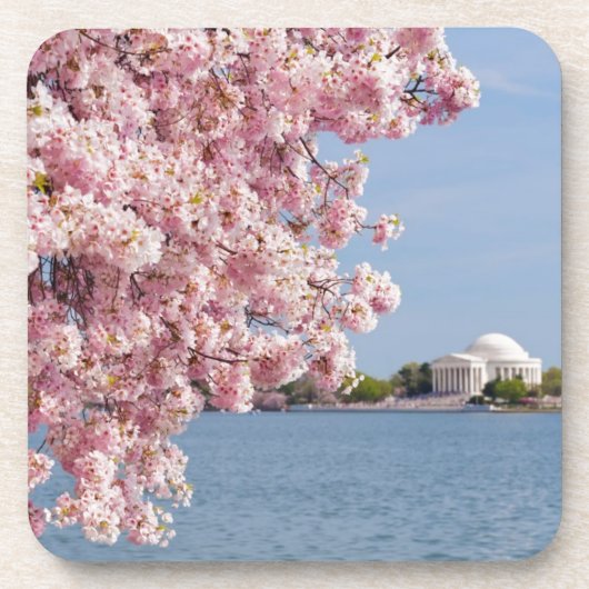 VS, Washington DC, Cherry tree Bier Onderzetter (Voorkant)