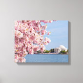 VS, Washington DC, Cherry tree Canvas Afdruk (Voorkant)