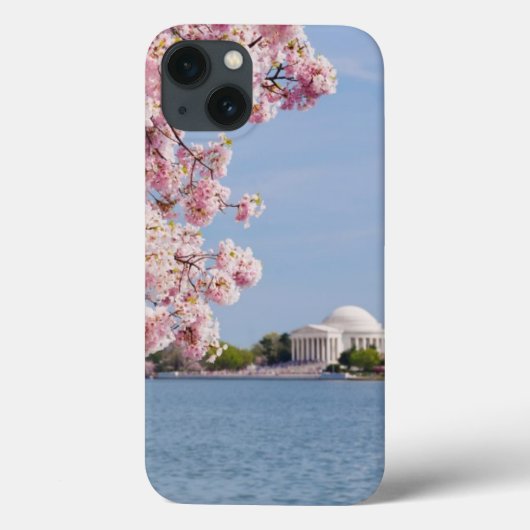 VS, Washington DC, Cherry tree Case-Mate iPhone Case (Achterkant)