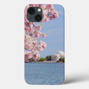 VS, Washington DC, Cherry tree iPhone 13 Hoesje
