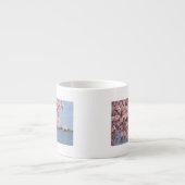 VS, Washington DC, Cherry tree Espresso Kop (Voorkant)