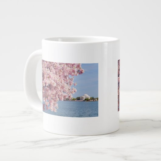 VS, Washington DC, Cherry tree Grote Koffiekop (Links)