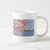VS, Washington DC, Cherry tree Grote Koffiekop (Rechts)