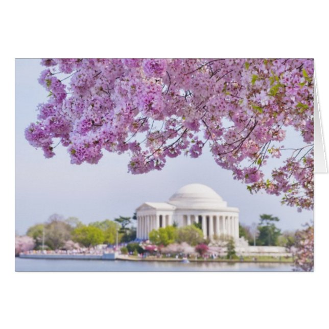 VS, Washington DC, Cherry tree in bloom (Voorkant Horizontaal)