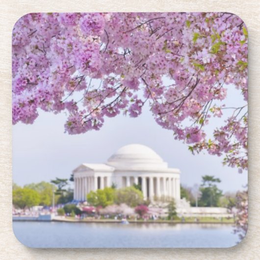 VS, Washington DC, Cherry tree in bloom Bier Onderzetter (Voorkant)