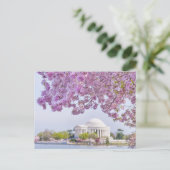 VS, Washington DC, Cherry tree in bloom Briefkaart (Staand voorkant)