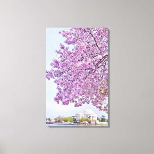 VS, Washington DC, Cherry tree in bloom Canvas Afdruk (Voorkant)