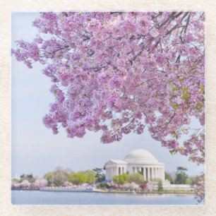 VS, Washington DC, Cherry tree in bloom Glazen Onderzetter