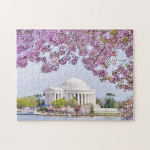 VS, Washington DC, Cherry tree in bloom Legpuzzel