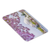 VS, Washington DC, Cherry tree in bloom Magneet (Rechterzijde)