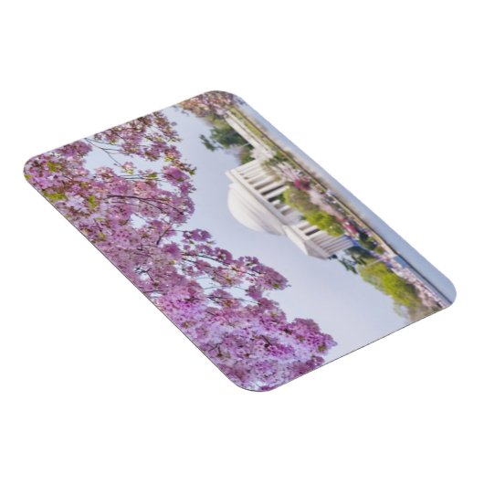 VS, Washington DC, Cherry tree in bloom Magneet (Rechterzijde)