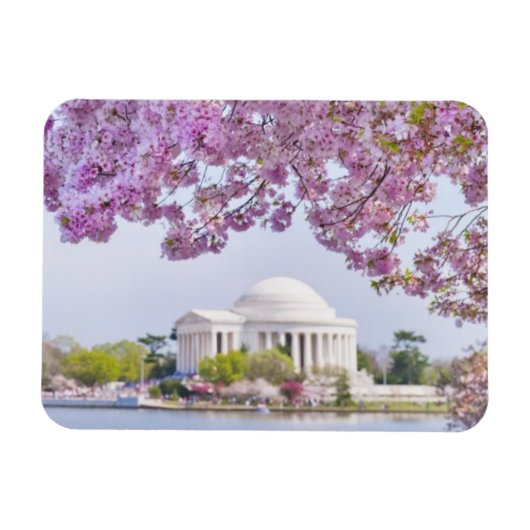 VS, Washington DC, Cherry tree in bloom Magneet (Horizontaal)