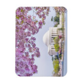 VS, Washington DC, Cherry tree in bloom Magneet (Verticaal)