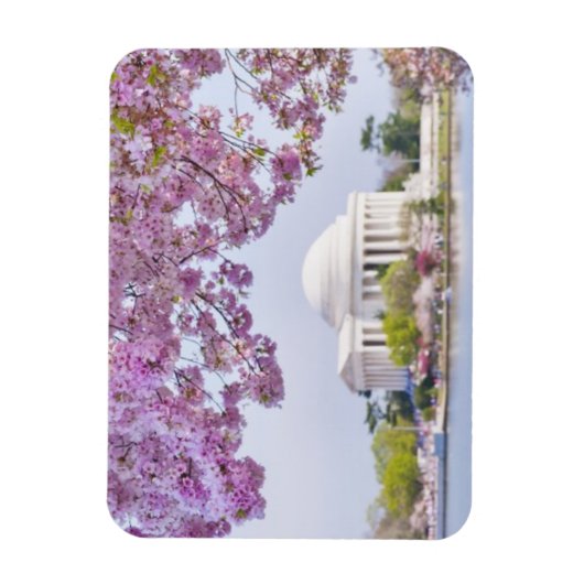 VS, Washington DC, Cherry tree in bloom Magneet (Verticaal)