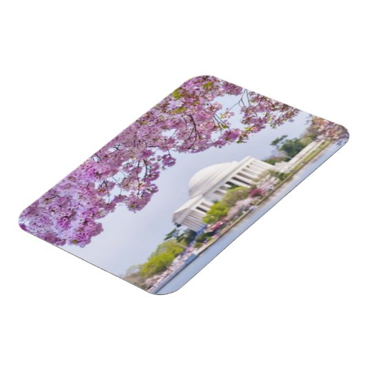 VS, Washington DC, Cherry tree in bloom Magneet (Linkerzijde)