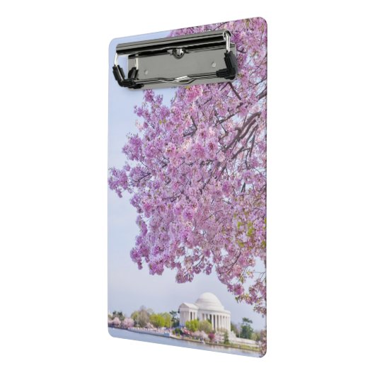 VS, Washington DC, Cherry tree in bloom Mini Klembord (Angled2)