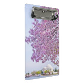 VS, Washington DC, Cherry tree in bloom Mini Klembord (Schuin)