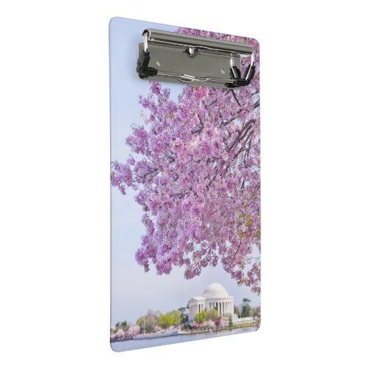 VS, Washington DC, Cherry tree in bloom Mini Klembord (Schuin)