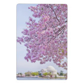 VS, Washington DC, Cherry tree in bloom Mini Klembord (Achterkant)