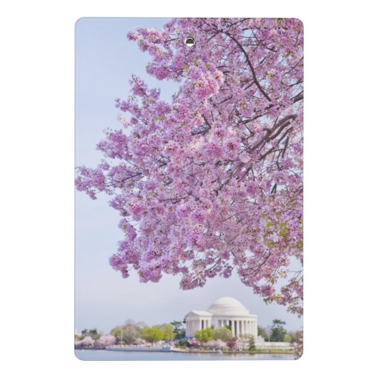 VS, Washington DC, Cherry tree in bloom Mini Klembord (Achterkant)