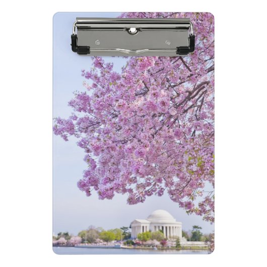 VS, Washington DC, Cherry tree in bloom Mini Klembord (Voorkant)