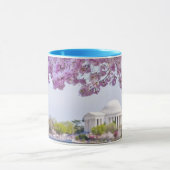 VS, Washington DC, Cherry tree in bloom Mok (Midden)