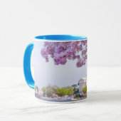 VS, Washington DC, Cherry tree in bloom Mok (Voorkant links)