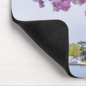 VS, Washington DC, Cherry tree in bloom Muismat (Hoek)