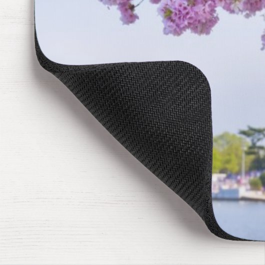 VS, Washington DC, Cherry tree in bloom Muismat (Hoek)