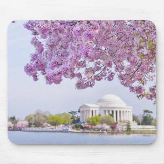 VS, Washington DC, Cherry tree in bloom Muismat (Voorkant)