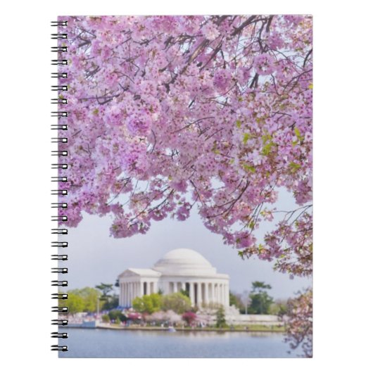 VS, Washington DC, Cherry tree in bloom Notitieboek (Voorkant)