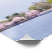 VS, Washington DC, Cherry tree in bloom Poster (Hoek)