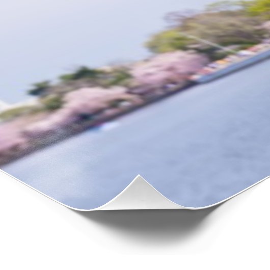 VS, Washington DC, Cherry tree in bloom Poster (Hoek)